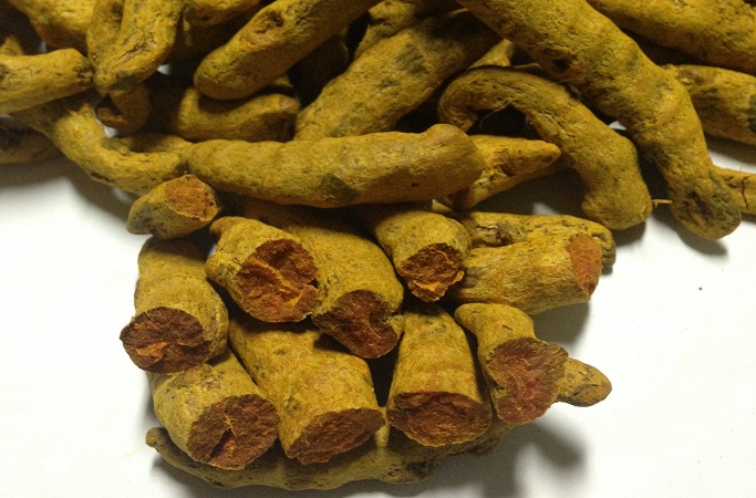 Free Template by uicookies.com